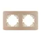 Минифото #3 товара Рамка алюминиевая FRM-AKIRY-AL-2-GD (Arlight, -)