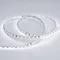 Минифото #2 товара Светодиодная лента RT 2-5000 24V White6000 5mm 2x (3528, 600 LED, LUX) (Arlight, 9.6 Вт/м, IP20)