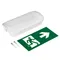 Минифото #2 товара Аварийная панель EMG-PROOF-3h-4.5W (Пикт. направления, IP65) (Arlight, IP65 Пластик, 3 года)