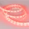 Минифото #2 товара Светодиодная лента RTW 2-5000SE 24V Red 2x (5060, 300 LED, LUX) (Arlight, 14.4 Вт/м, IP65)