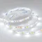 Минифото #3 товара Светодиодная лента RT-B60-10mm 24V White-MIX (14.4 W/m, IP20, 5m) (Arlight, Изменяемая ЦТ)