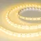 Минифото #3 товара Светодиодная лента RT-B60-10mm 24V Yellow (14.4 W/m, IP20, 5060, 5m) (Arlight, 14.4 Вт/м, IP20)